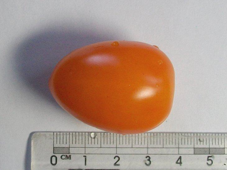 橙蜜香小番茄的大小尺寸