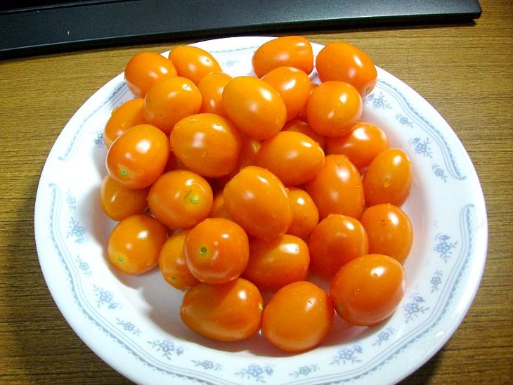洗好整盤的小番茄