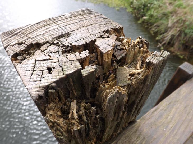 拱橋上腐朽的木塊